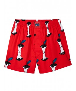 Lousy Livin Boxershorts Apple