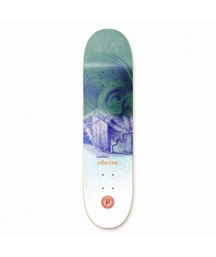 Primitive Carlos Ribeiro Evolve 8.38"