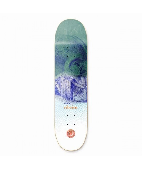 Primitive Carlos Ribeiro Evolve 8.38"