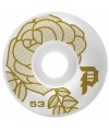 PRIMITIVE 'ROSA' TEAM WHEEL - GOLD - 53 mm