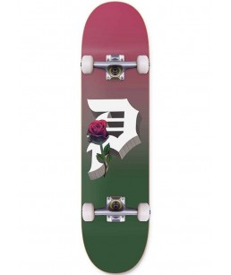 Primitive Dirty P Dimension Complete 8.25"